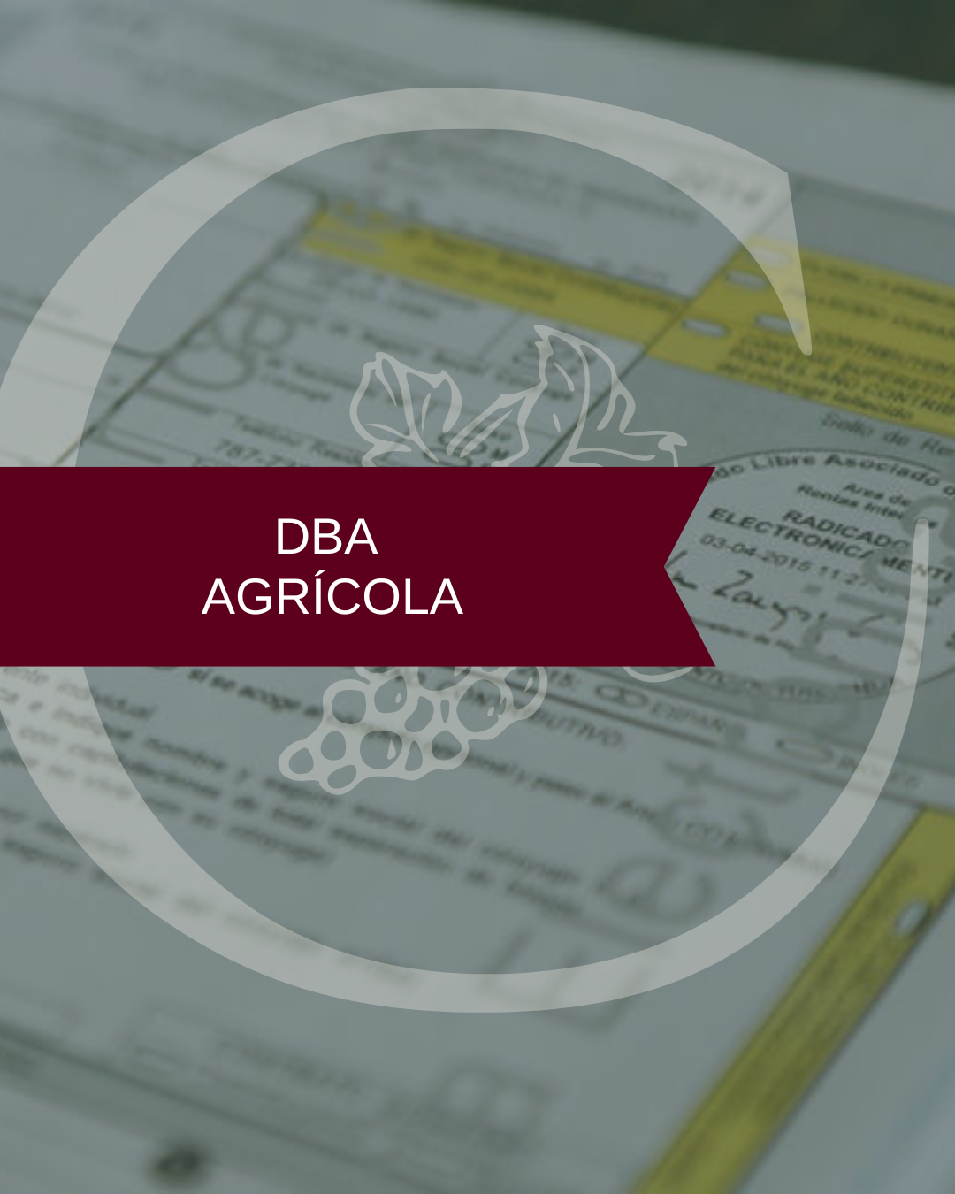 Reserva de espacio • DBA Agrícola • Temporada de Impuestos • Puerto Rico